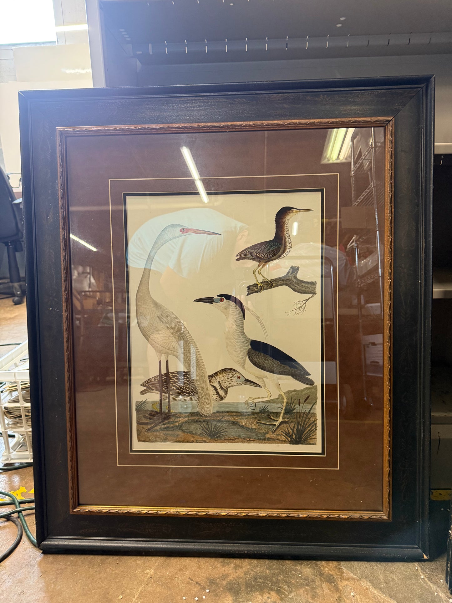 Pair Heron Family I & II Wilson Framed Painting Prints 24x29