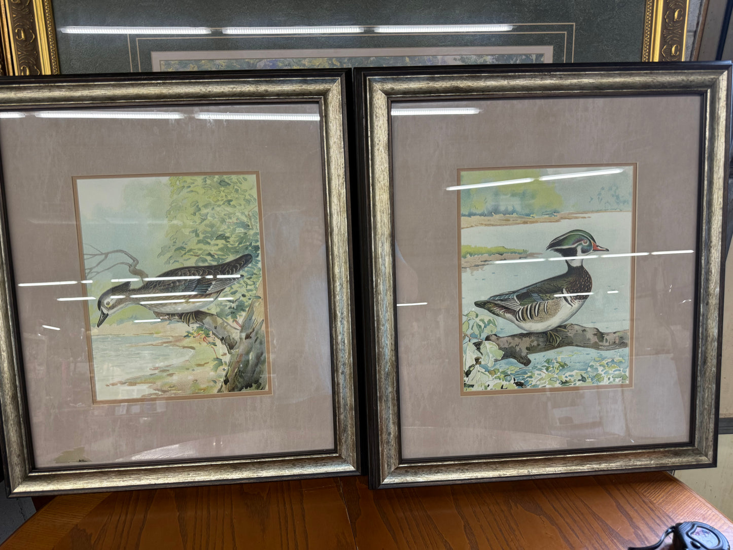 Pair of Woodduck Male & Female 19x22 Ridgway