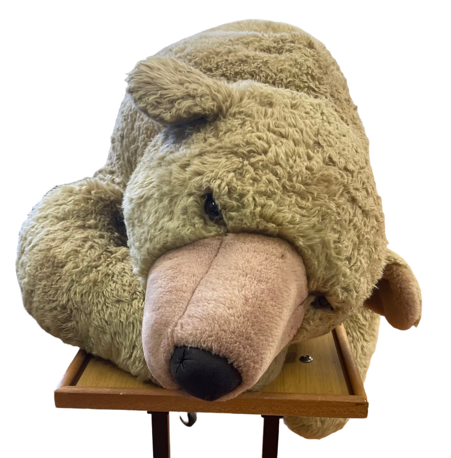 Large Stuffed Bear by Fiesta