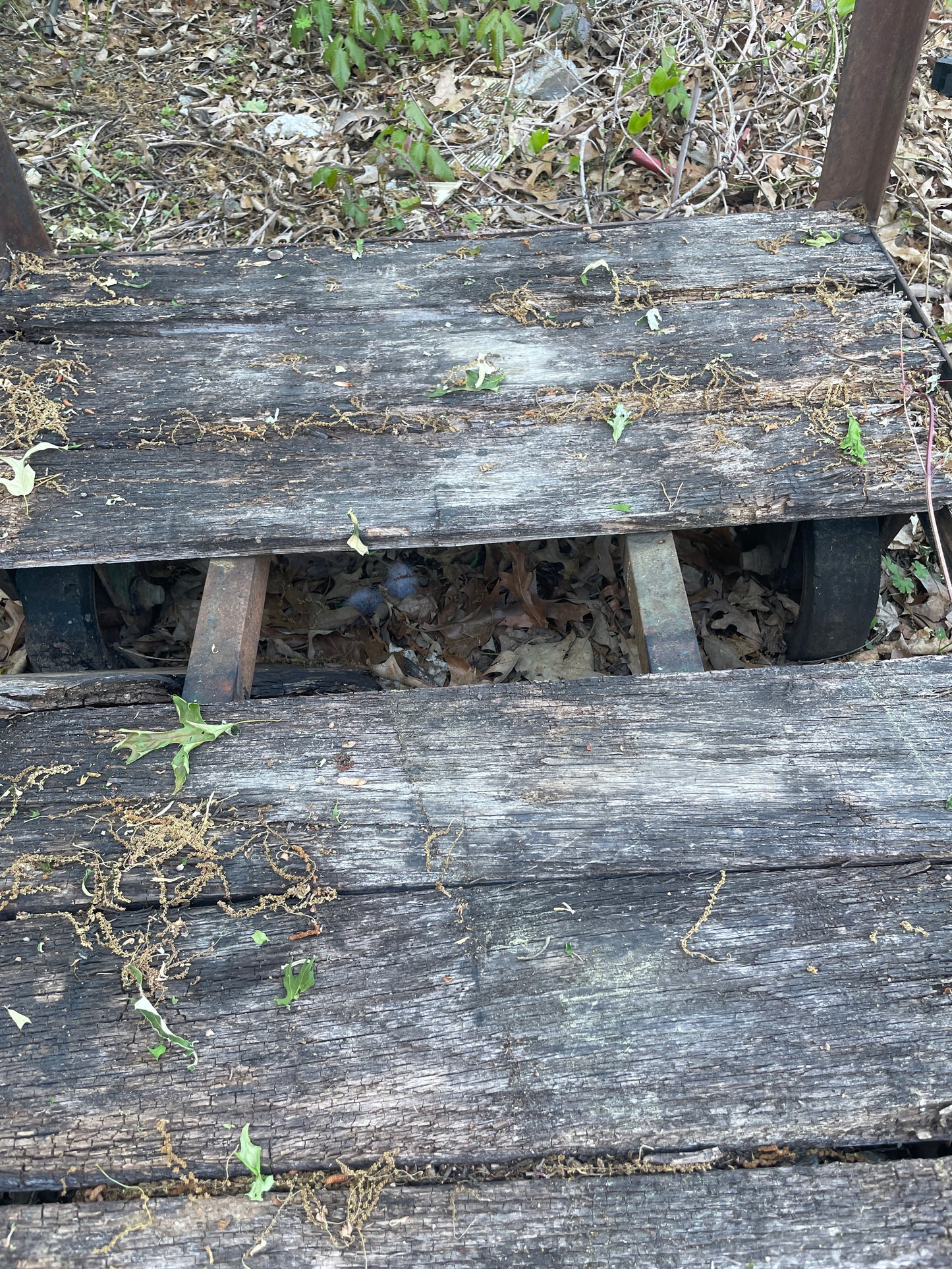 Metal Cart with Wooden Base