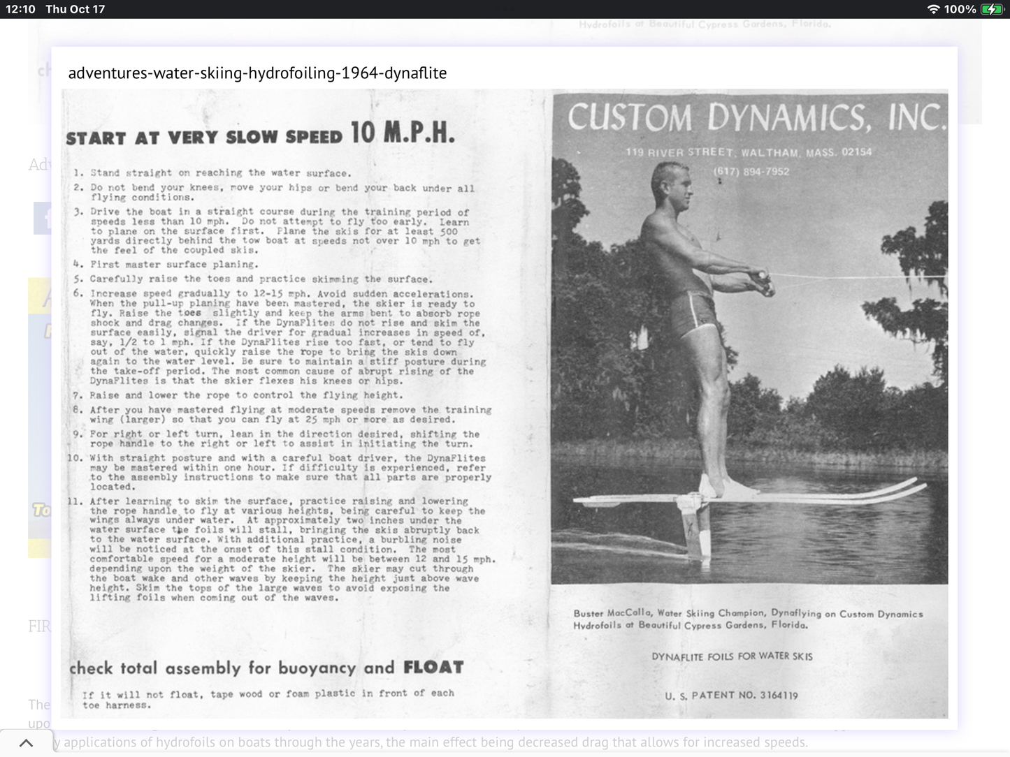 Vintage Water Ski Hydrofoil, Cosmo Dynamics