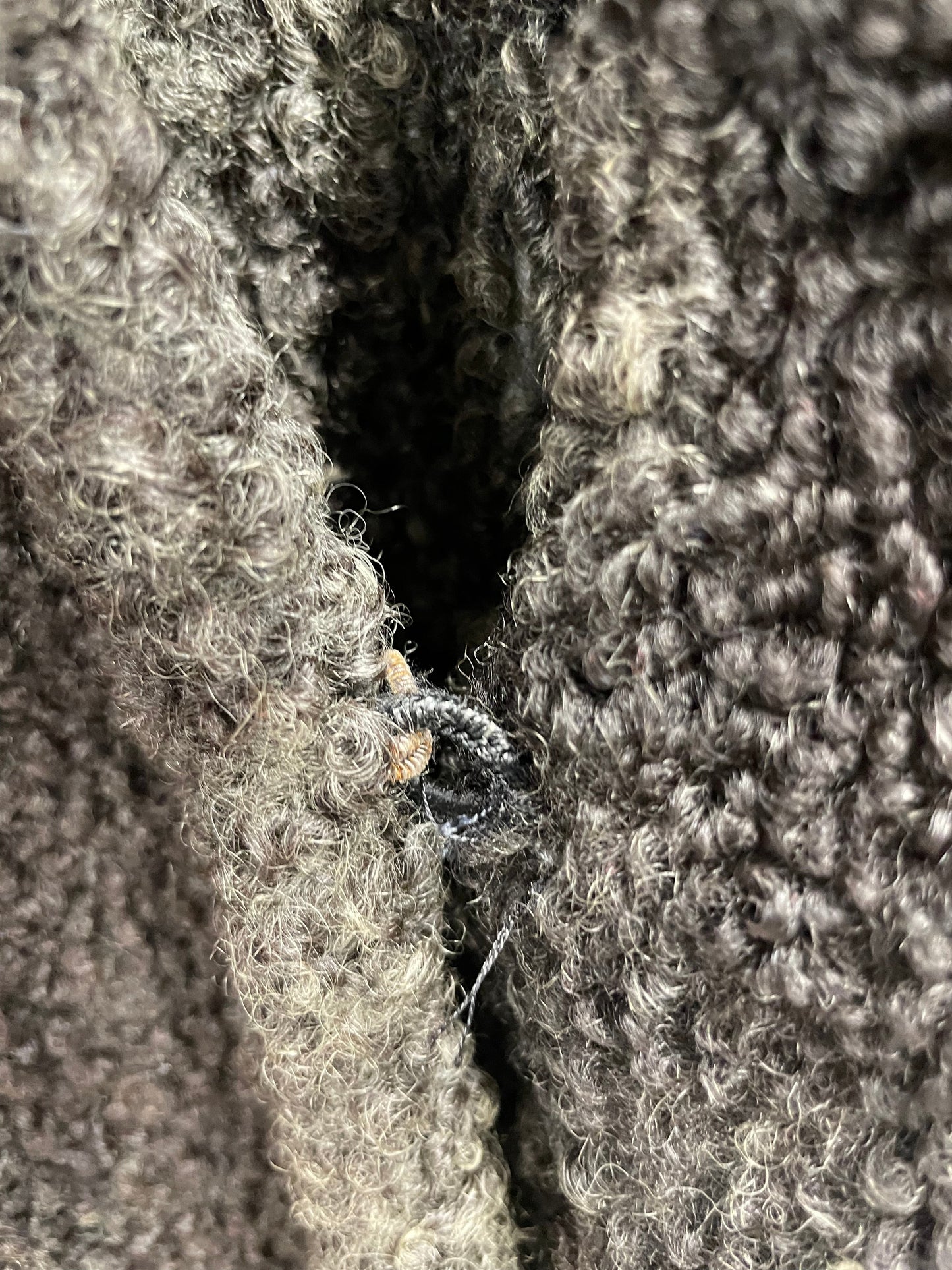 Coat, V11, Vintage Curly Lambs Wool Fur Jacket, Coat Women’s 12 14, Gray, 1970s Retro Glamour