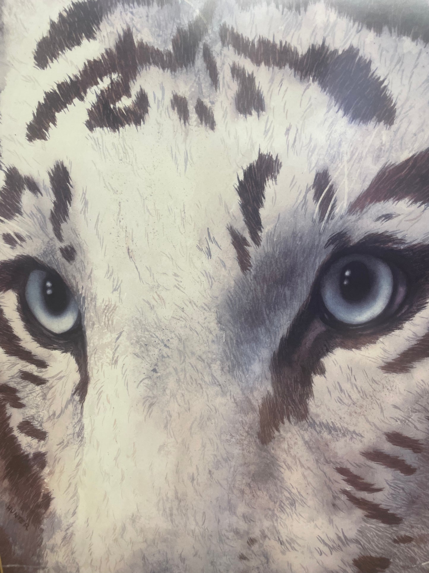 Large Fancy Gold Framed White Tiger Face
