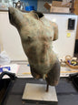 Patinated Bronze Torso after the Antique, 19th/20th Century Sculpture Greece Gladiator