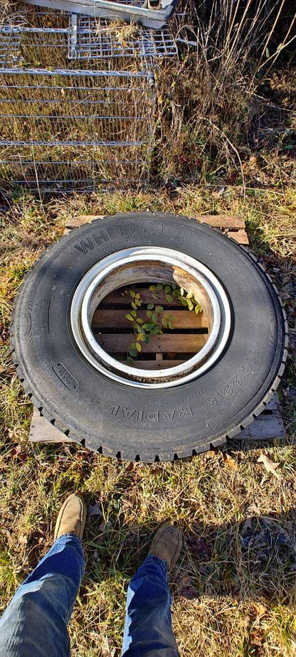 Tire, RR, Whites, 11R22.5, Radial Tire