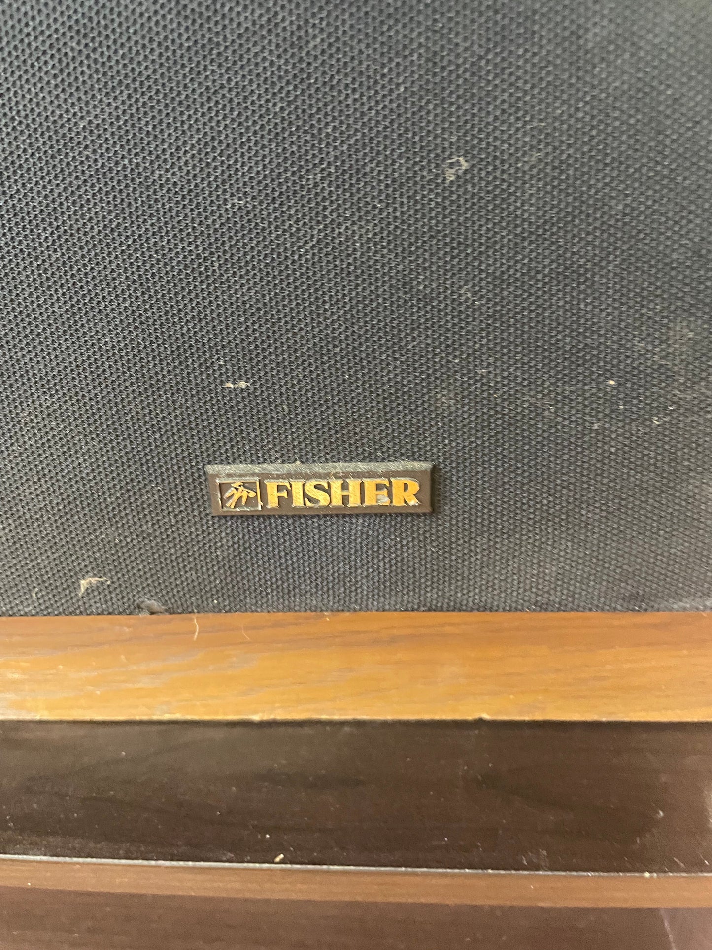 CAV, S11, Speakers, Vintage Pair of Fisher Speakers, DS-811