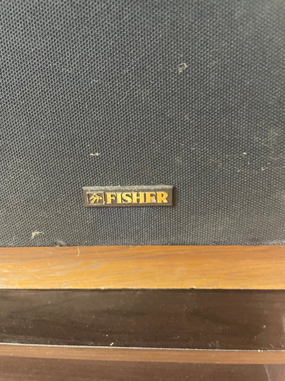 CAV, S11, Speakers, Vintage Pair of Fisher Speakers, DS-811