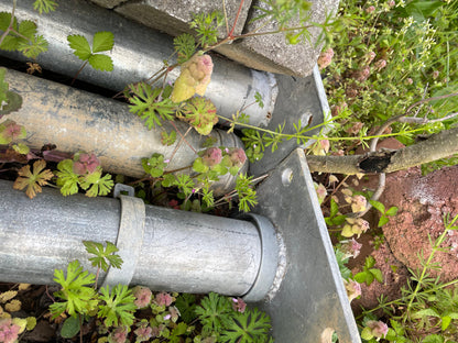 Poles, RR, 7 Gauge, Galvanized, 3/16”, 10’4” long