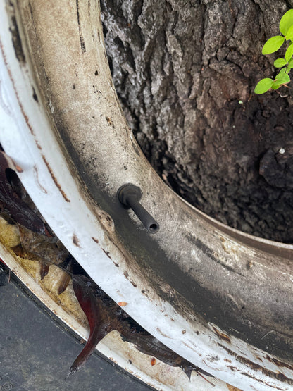 Rim, RR, Tractor Trailer Rim with tire, Nr 1